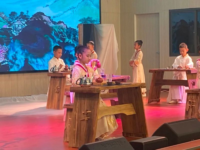 关于思茅区：“传承国饮 普洱茶香”第三届少儿茶艺比赛精彩纷呈的内容(4)