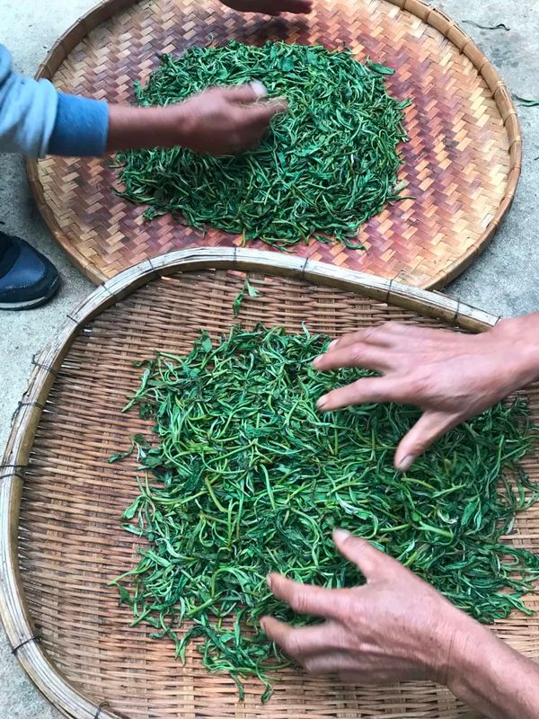 关于保山龙陵：春茶抢“鲜”喜开秤的内容(2)