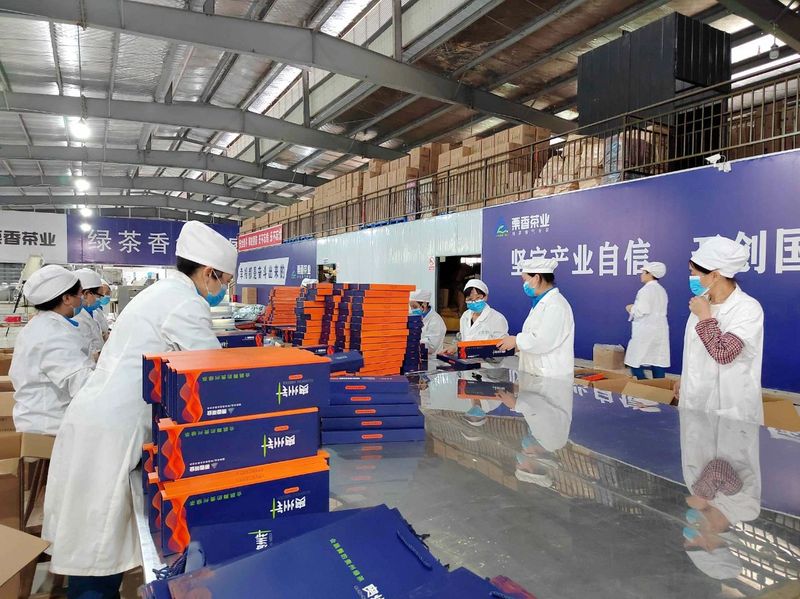 有关于标准化生产，让湄潭栗香茶香飘世界！的资讯(4)