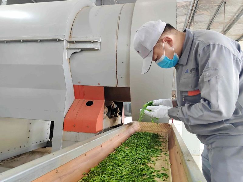 有关于标准化生产，让湄潭栗香茶香飘世界！的资讯(1)