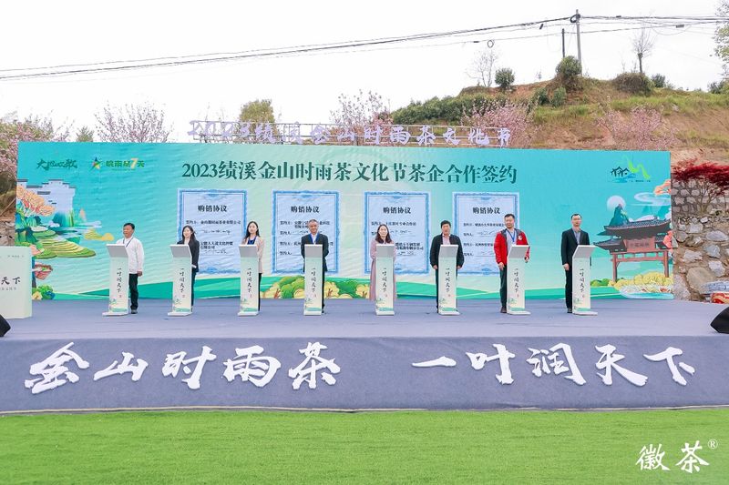 关于徽州之源，自在绩溪！2023绩溪金山时雨茶文化节盛大开幕的信息(9)
