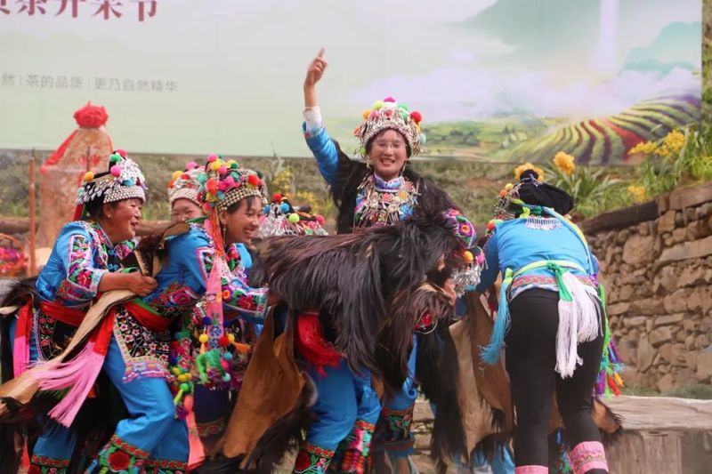 关于8000元落锤！南诏贡茶刷新首届拍卖记录！的内容(2)