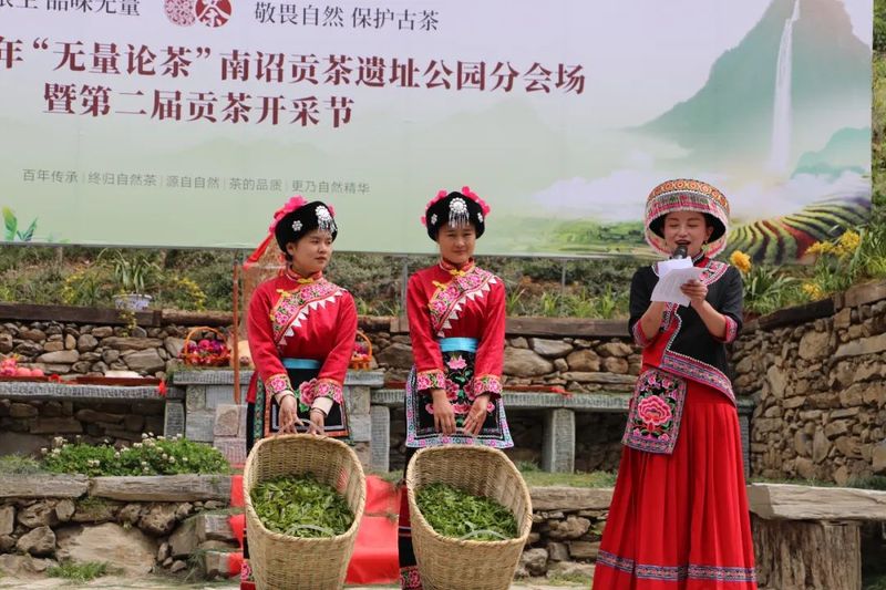 关于8000元落锤！南诏贡茶刷新首届拍卖记录！的内容(4)