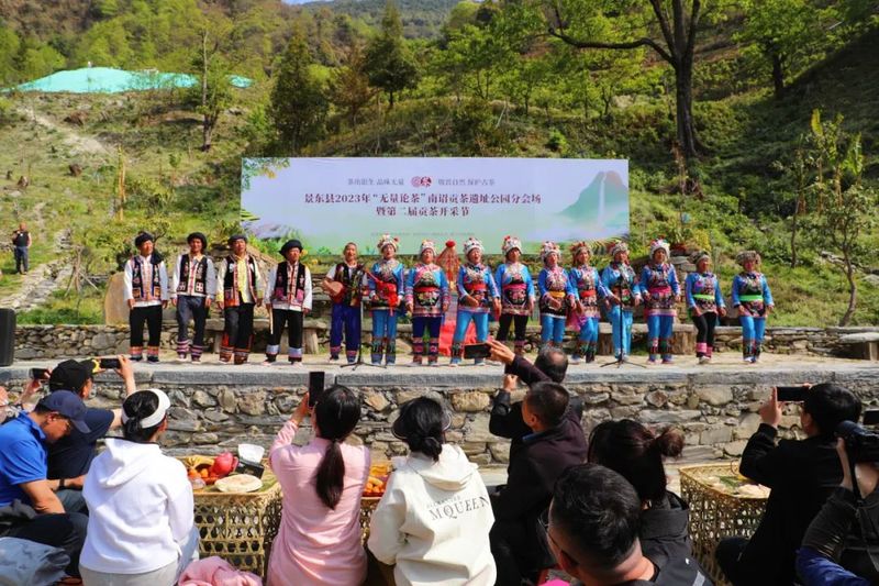 关于8000元落锤！南诏贡茶刷新首届拍卖记录！的内容(1)