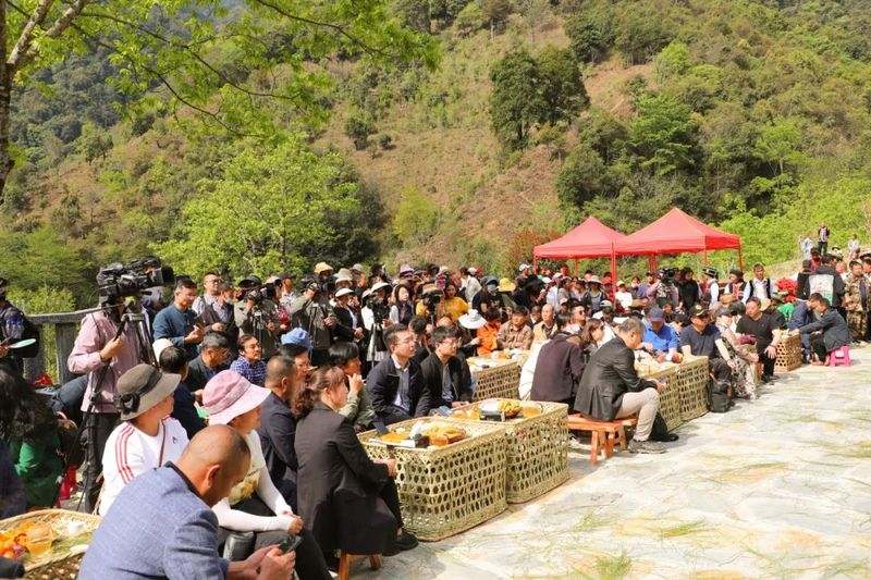 关于8000元落锤！南诏贡茶刷新首届拍卖记录！的内容(8)