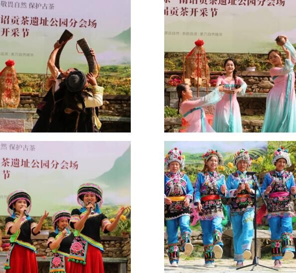 关于8000元落锤！南诏贡茶刷新首届拍卖记录！的内容(3)