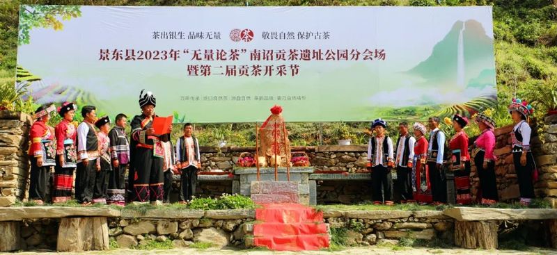 关于8000元落锤！南诏贡茶刷新首届拍卖记录！的内容