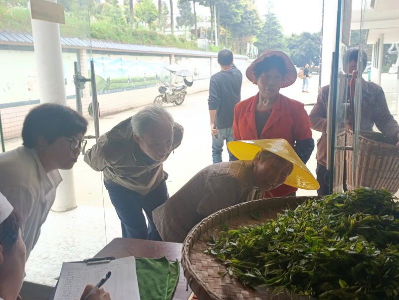 有关于胡继承一行赴开阳县调研茶产业的消息(1)