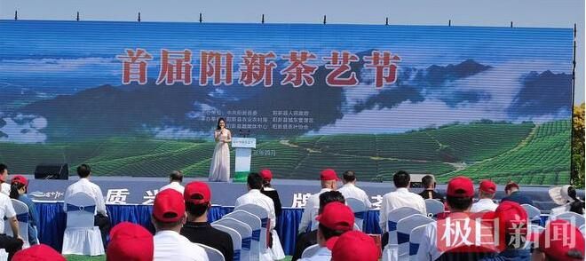 有关于“一片小叶”渐成“大产业”，首届阳新茶艺节今日开幕的资讯(3)
