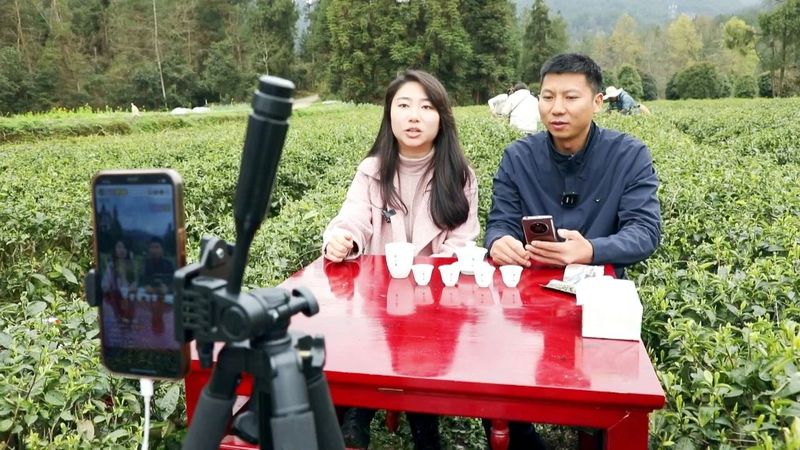 关于土溪镇：干部变身网络主播 有机茶园里“云吆喝”的资讯