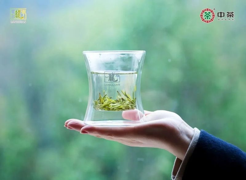 有关于陈永昊等，西湖龙井茶传统制作技艺的重要价值与前进方向的相关内容(1)