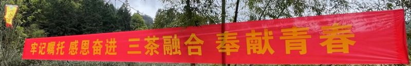 有关于“喊山祭茶” 青年茶人努力传承和弘扬武夷茶文化 感恩大自然的馈赠的新闻(11)