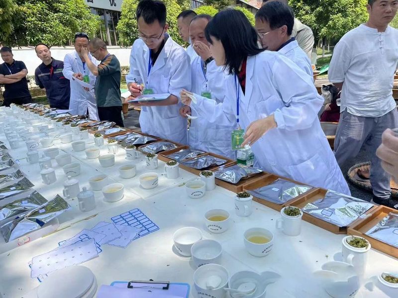 关于名山区成功举办“蒙顶甘露杯”世界非遗--蒙顶山茶技艺传承制茶大赛的相关内容(4)