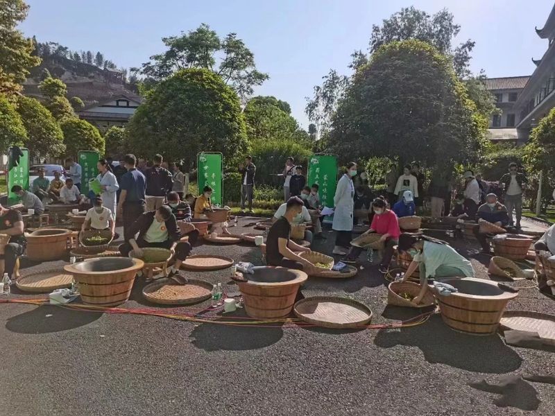关于名山区成功举办“蒙顶甘露杯”世界非遗--蒙顶山茶技艺传承制茶大赛的相关内容(3)