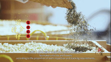 关于福建的这项世界非遗，茉莉花称得上“人间第一香”的内容(8)