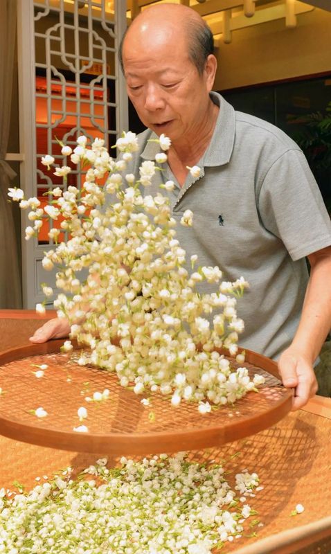 关于福建的这项世界非遗，茉莉花称得上“人间第一香”的内容(7)