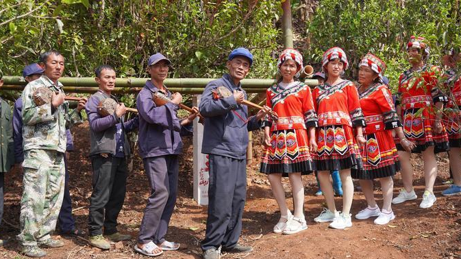 关于临沧镇康：悠悠马鞍山 春日采茶忙的相关信息