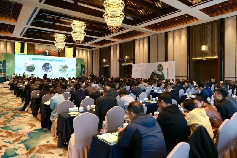 关于三茶统筹 惠民共富  2023景宁畲族自治县惠明茶产业振兴大会开幕的信息(7)