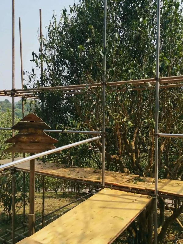 有关于漳州市海峡两岸茶业交流协会组团赴云南参观考察茶产业发展的最新消息(15)