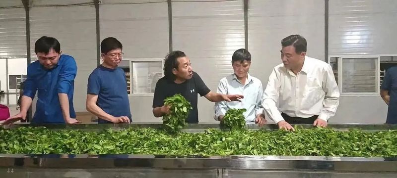 有关于漳州市海峡两岸茶业交流协会组团赴云南参观考察茶产业发展的最新消息(1)