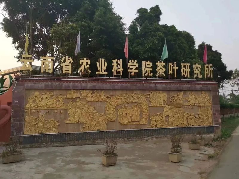 有关于漳州市海峡两岸茶业交流协会组团赴云南参观考察茶产业发展的最新消息(7)