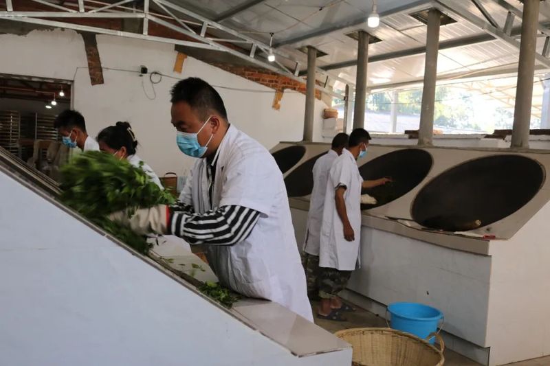 关于德化镇：生态转型 茶园飘香的新闻(2)