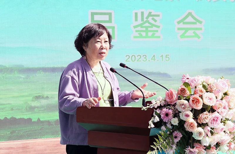 关于凤冈锌硒茶代表产品“凤头羽”品鉴会举行的相关内容(1)