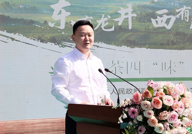 关于凤冈锌硒茶代表产品“凤头羽”品鉴会举行的相关内容(7)