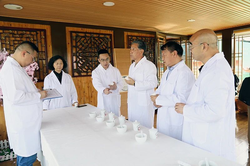 关于凤冈锌硒茶代表产品“凤头羽”品鉴会举行的相关内容(9)