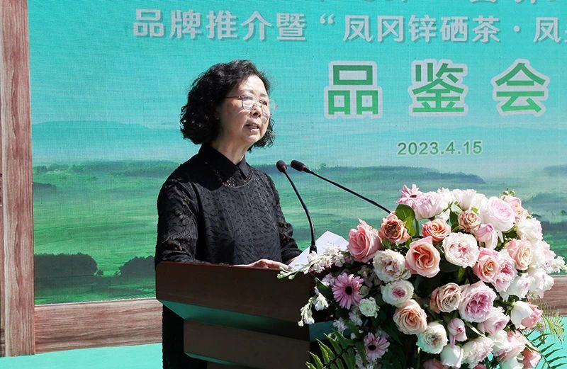 关于凤冈锌硒茶代表产品“凤头羽”品鉴会举行的相关内容(4)