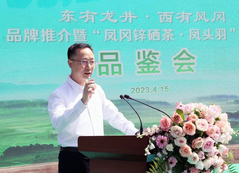 关于凤冈锌硒茶代表产品“凤头羽”品鉴会举行的相关内容(3)