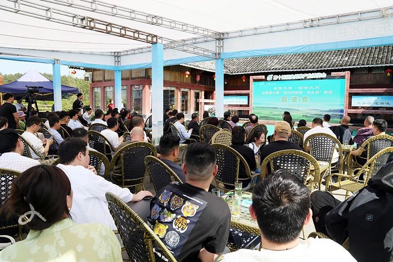 关于凤冈锌硒茶代表产品“凤头羽”品鉴会举行的相关内容