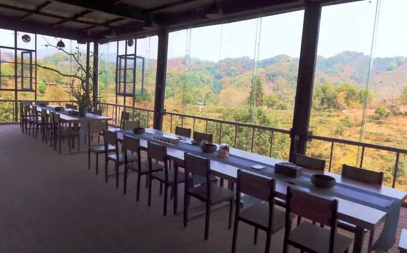 有关于春茶中国行①为什么苍梧六堡是六堡茶之塔尖？的信息(10)