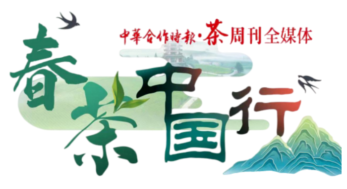 有关于春茶中国行①为什么苍梧六堡是六堡茶之塔尖？的信息