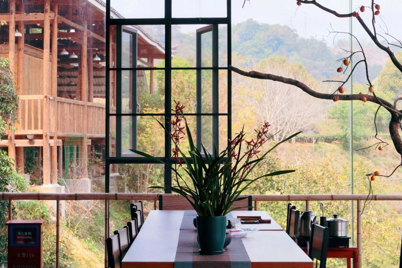 有关于春茶中国行①为什么苍梧六堡是六堡茶之塔尖？的信息(6)