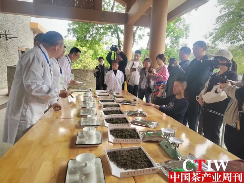 有关于中国北川第十届羌茶节手工制茶大赛今日举行的消息(3)