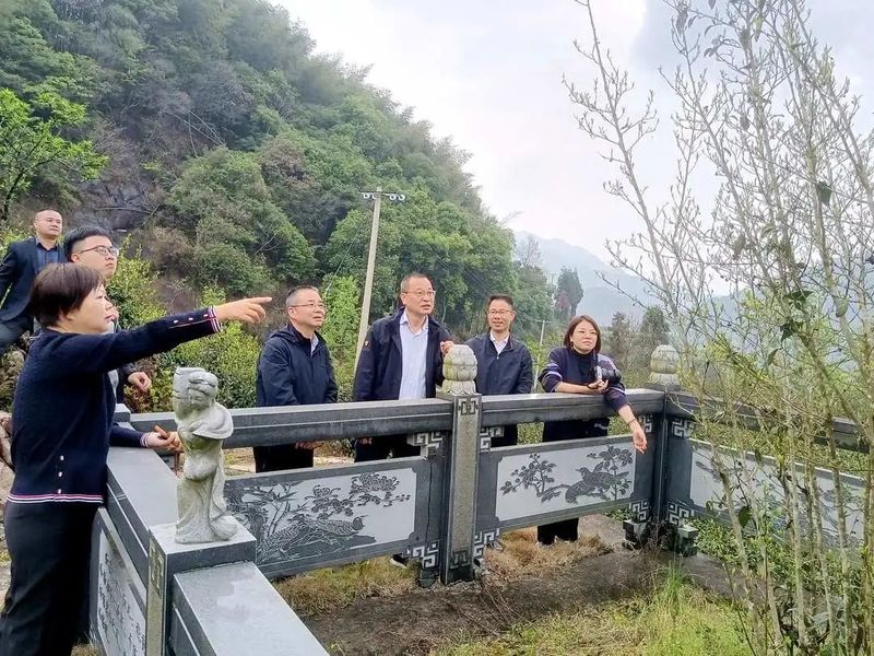 有关于温州市政协农业农村委来泰调研茶产业发展的内容