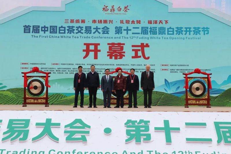 关于福鼎开茶咯！锣鼓一响，“黄金”万两！的最新消息