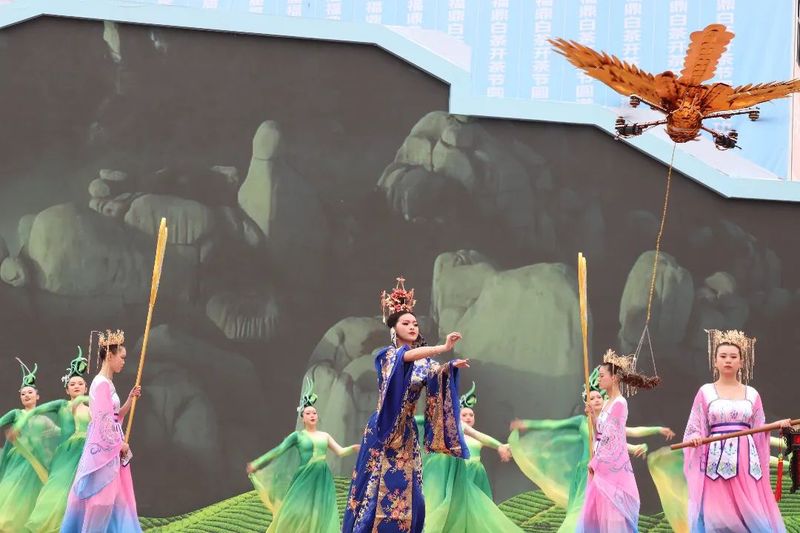 关于福鼎开茶咯！锣鼓一响，“黄金”万两！的最新消息(10)