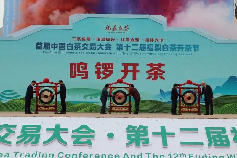 关于福鼎开茶咯！锣鼓一响，“黄金”万两！的最新消息(5)