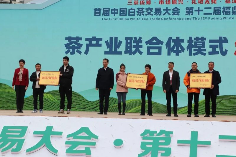 关于福鼎开茶咯！锣鼓一响，“黄金”万两！的最新消息(6)