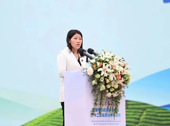 关于福鼎开茶咯！锣鼓一响，“黄金”万两！的最新消息(3)