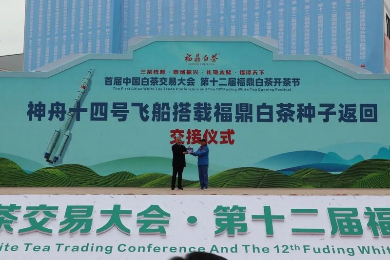 关于福鼎开茶咯！锣鼓一响，“黄金”万两！的最新消息(8)