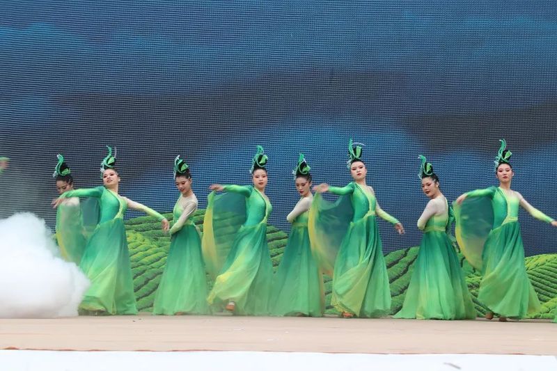 关于福鼎开茶咯！锣鼓一响，“黄金”万两！的最新消息(12)