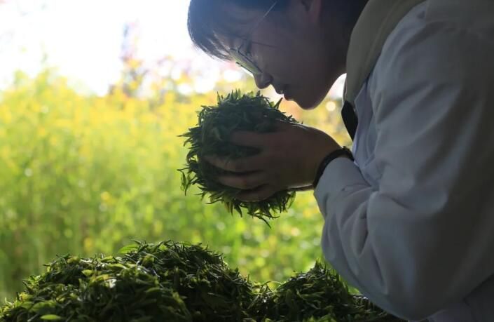 有关于乌蒙云深处 又添一缕香的相关信息(3)