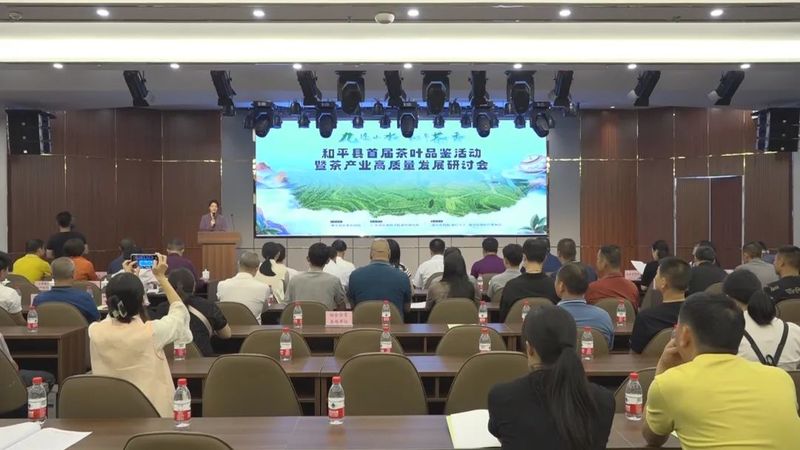 有关于和平县举办首届茶叶品鉴活动暨茶产业高质量发展研讨会的新闻
