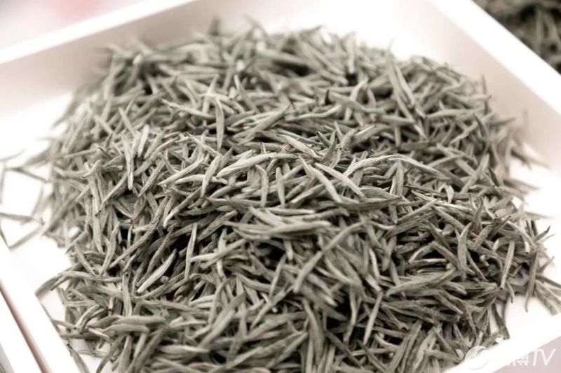 关于2023第十届福鼎民间茶王赛举办的相关信息(7)