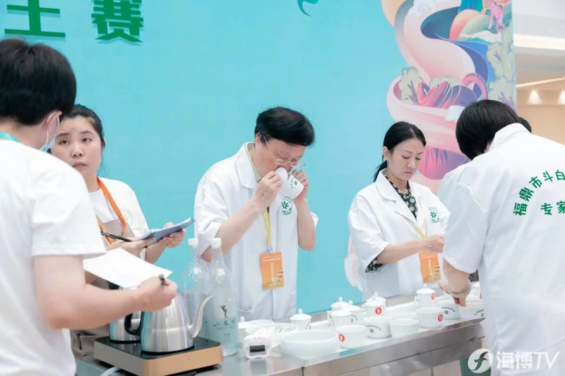 关于2023第十届福鼎民间茶王赛举办的相关信息(4)