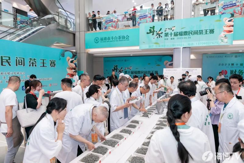 关于2023第十届福鼎民间茶王赛举办的相关信息(3)