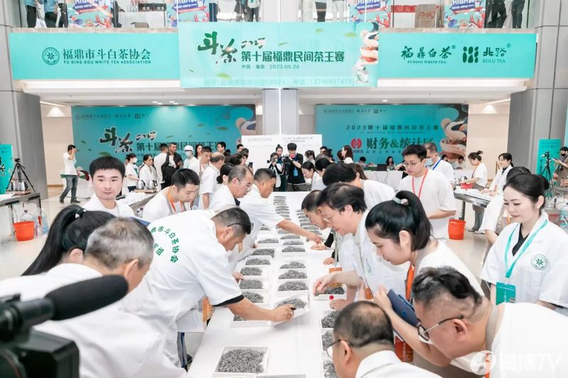 关于2023第十届福鼎民间茶王赛举办的相关信息(6)